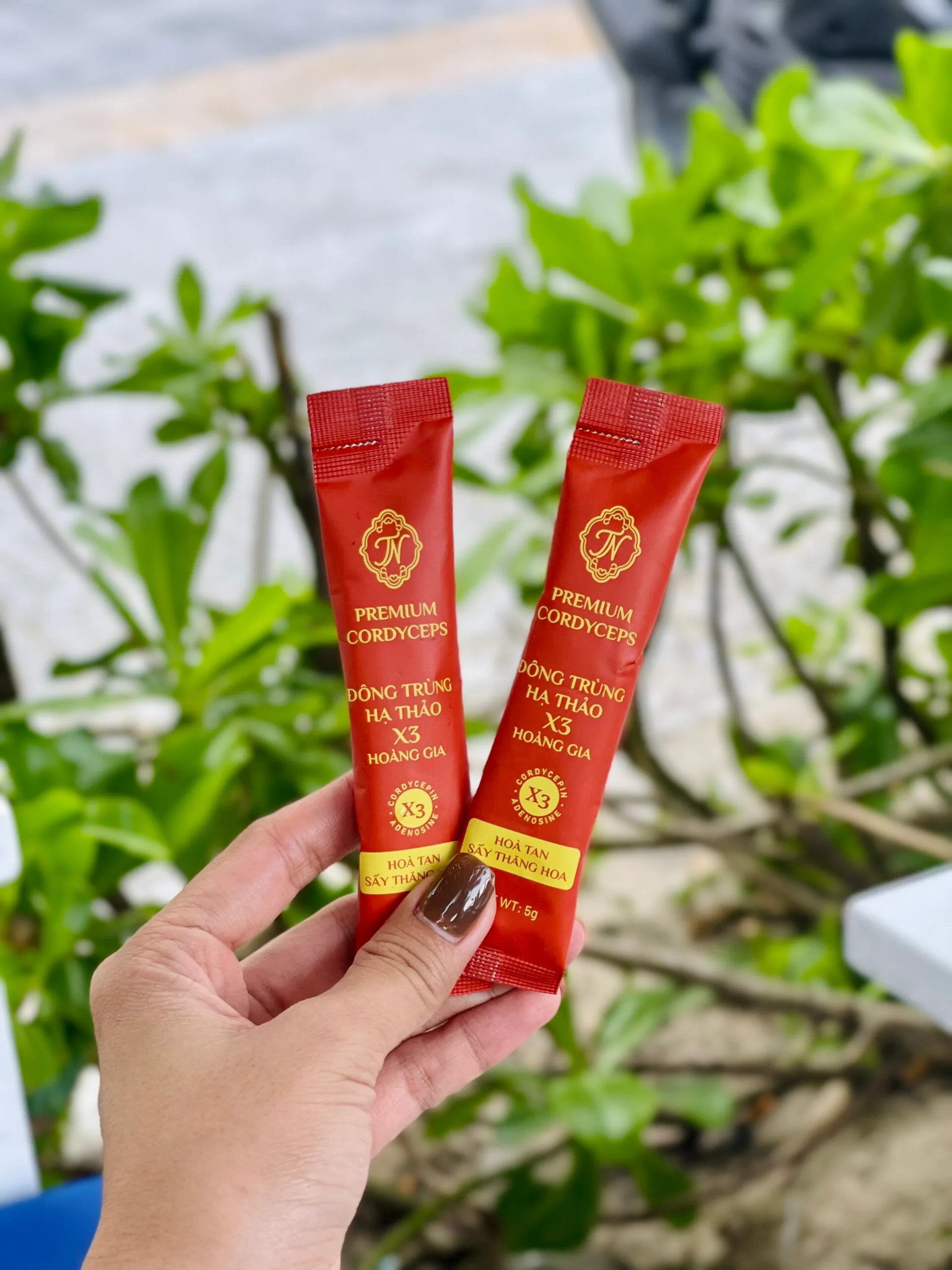 Đông Trùng Hạ Thảo X3 Hoàng Gia – Hòa Tan Sấy Thăng Hoa - Ảnh 2