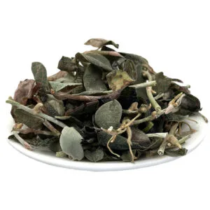 Lan Kim Tuyến Sấy Thăng Hoa