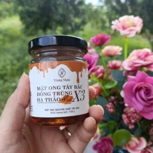 Alternative view of Mật Ong Tây Bắc Đông Trùng Hạ Thảo X3 120gr