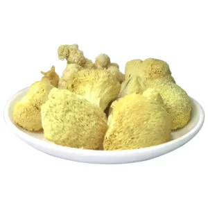 Nấm Hầu Thủ Sấy Thăng Hoa