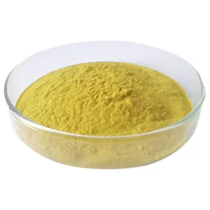 Nấm Hầu Thủ Sấy Thăng Hoa Dạng Bột